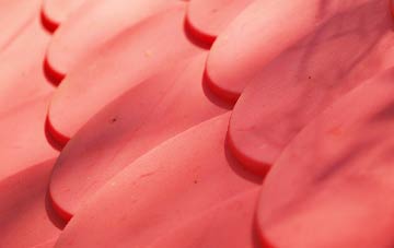 Middle Grange plastic roof costs